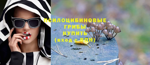 стафф Надым