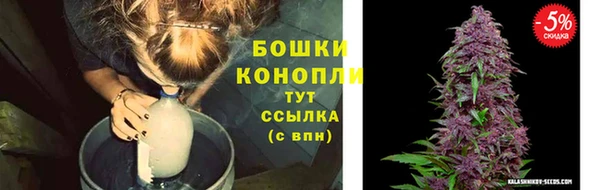 СК Навашино