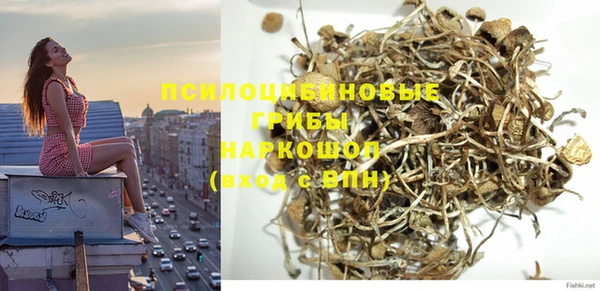 стафф Надым