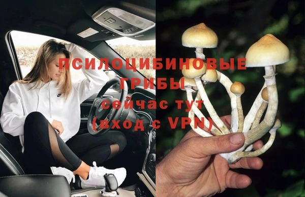 стафф Надым