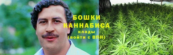 стафф Надым