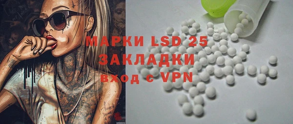 стафф Надым