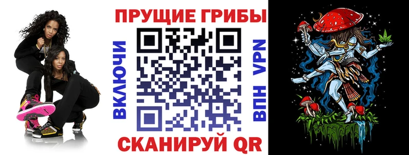 Купить где  Кущёвская  Псилоцибиновые грибы GOLDEN TEACHER 