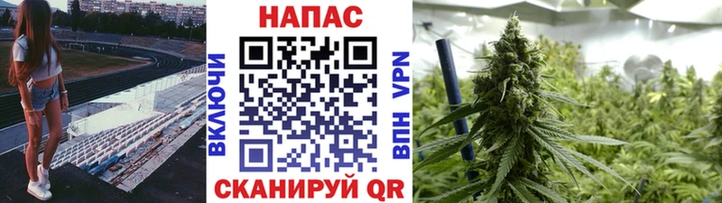 Купить закладки  Кущёвская  Шишки марихуана ГИДРОПОН 